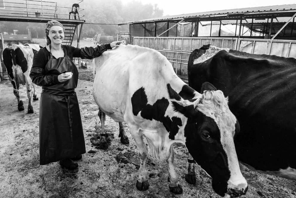 Bu serginin geliri Türk  Eğitim Vakfı’na kalacak