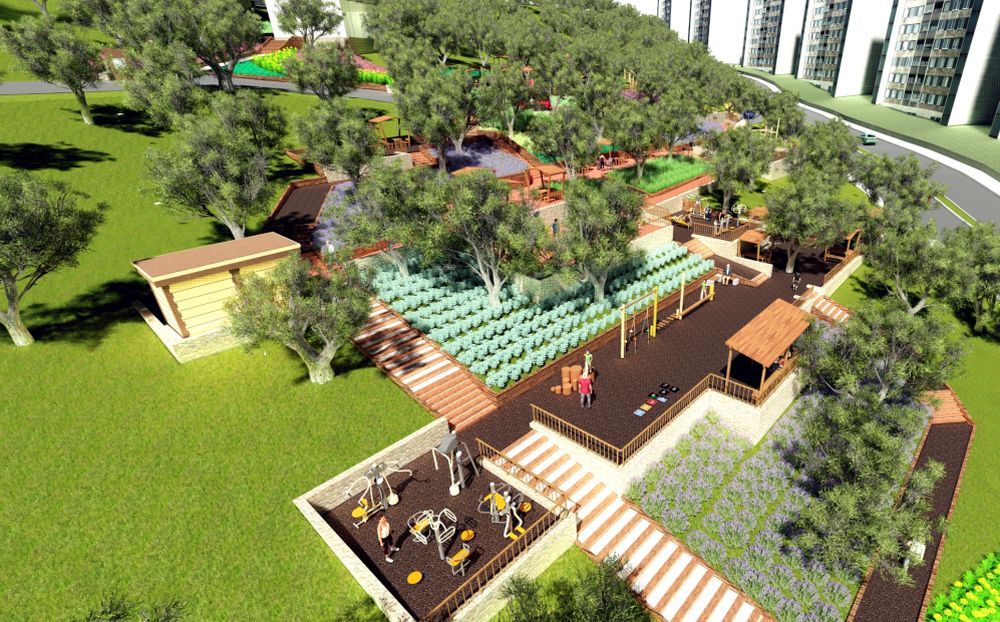 Gaziemir'e "Zeytin Park" geliyor