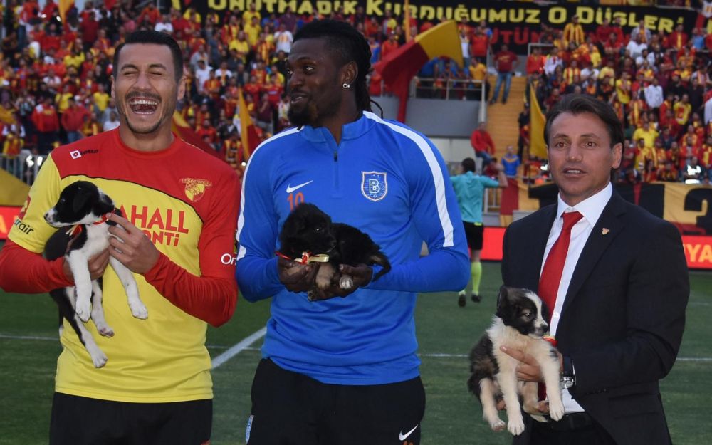Göztepe’den Bornova Belediyesi Hayvan Barınağı’na anlamlı bağış