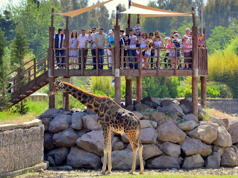 Sasalı Doğal Yaşam Parkı yeniden açılıyor 