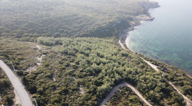 Urla'da kanuna aykırı satış operasyonu!