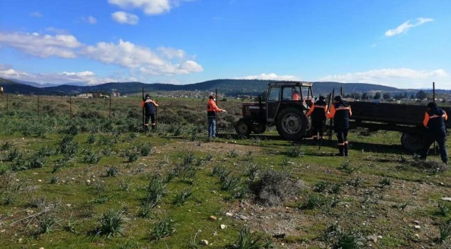 Santral arazisine 'organik tarım' yalanı tutmadı, Foça'da direkler söküldü!