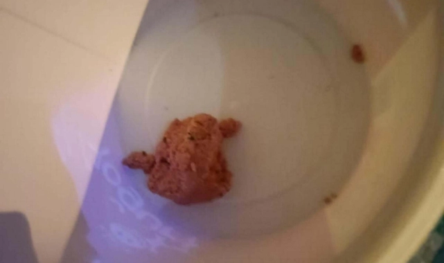 11 köpek öldü: İzmir’de sokak köpeklerini zehirlediler! 