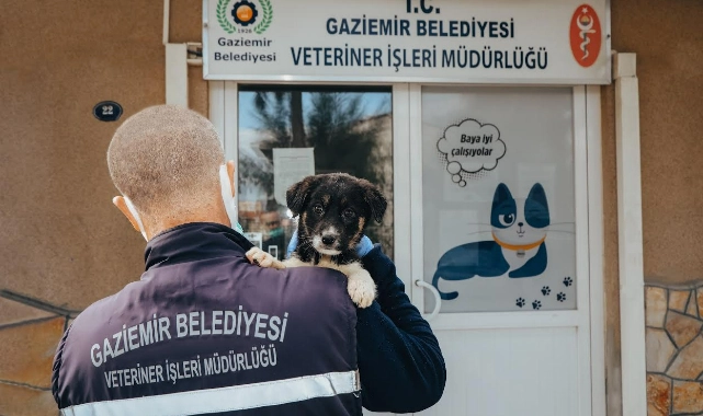 Gaziemir’de 27 bin 631 hayvana veteriner sağlık hizmeti
