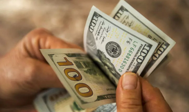 Dolar rekor tazeledi