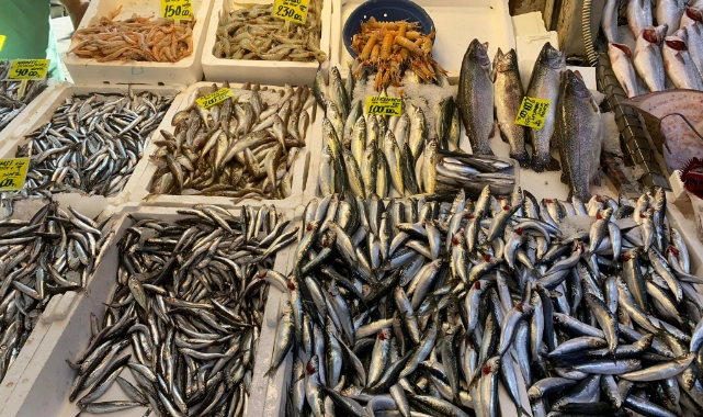 Balık fiyatları fırladı