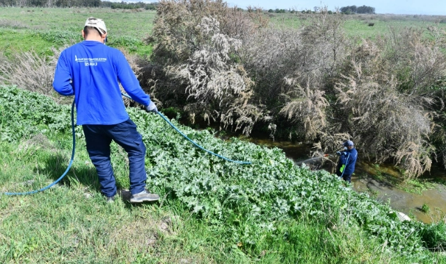 İzmir Büyükşehir Belediyesi ilaçlama çalışmalarına hız verdi