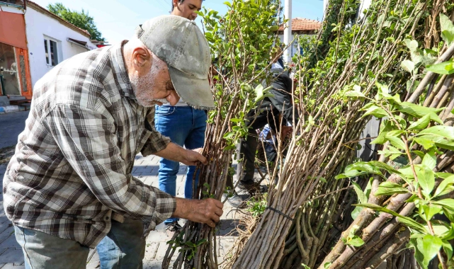 Buca Belediyesi’nden üreticiye fidan desteği