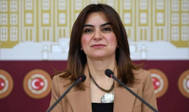 DEM Parti’den yeni anayasaya destek 