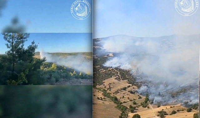 Bergama'da 20 saatlik uğraş... Yangın kontrol altına alındı