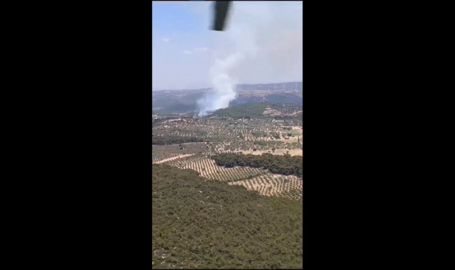 Bergama'da orman yangını