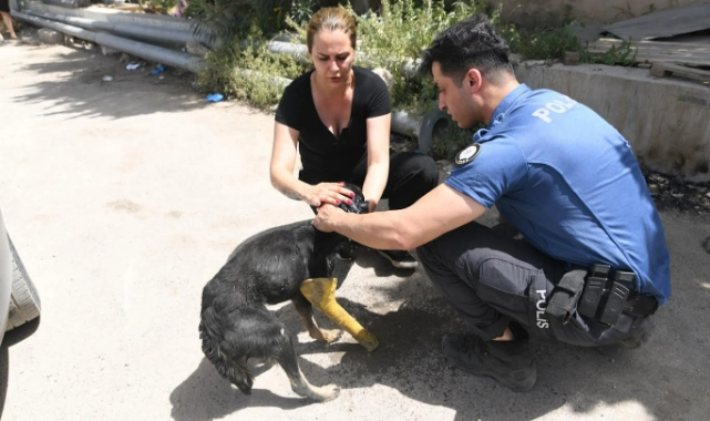 Can Dostları yangından kurtarıldı