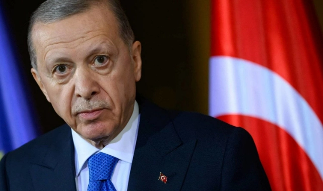 Erdoğan, sokak hayvanları kararını verdi: Düzenlemede neler yer alacak?