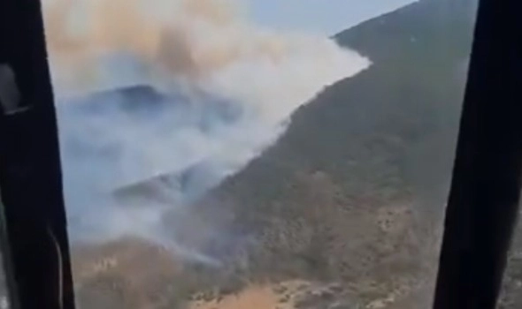 İzmir'de orman yangını