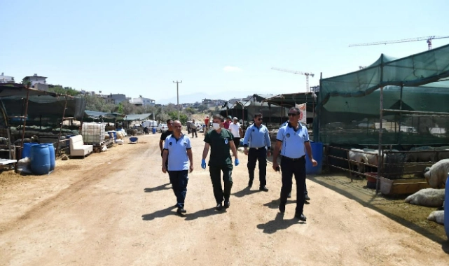 Karabağlar'da Kurban Bayramı öncesi sıkı denetim