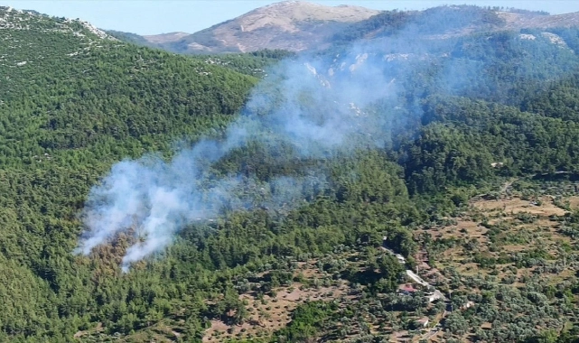 Muğla Milas'ta yangın alarmı