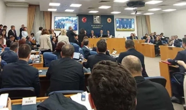 'Sokak hayvanlarına ötenazi' teklifi görüşmeleri ertelendi