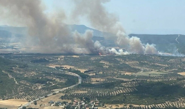 Yine bir yangın... Foça'da orman yangını