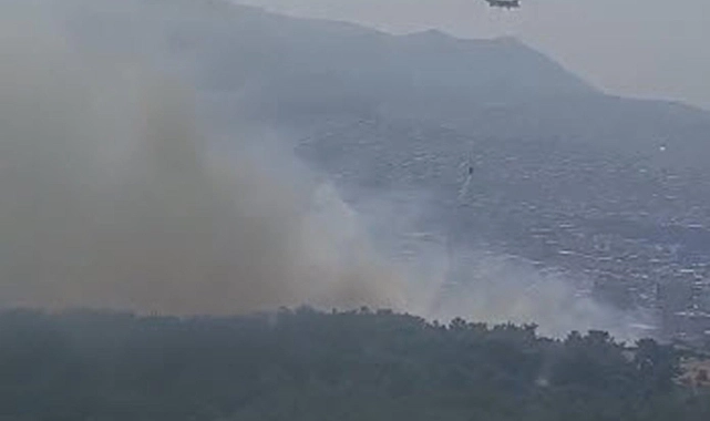 Yine Buca yine orman yangını