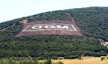 OGM'nin yangınlar için gerekli ekipmanları almadığı ortaya çıktı 