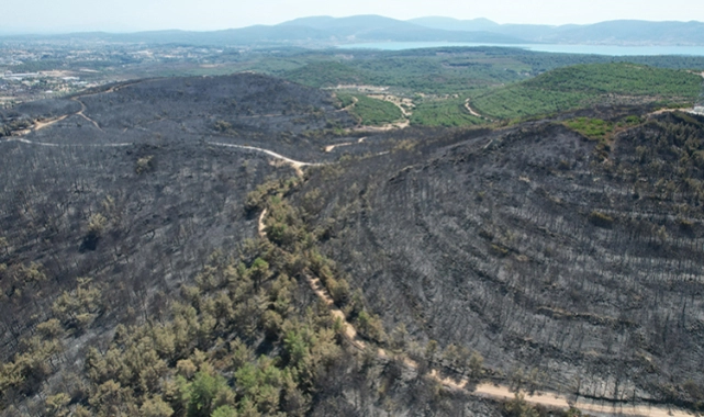 Urla küllerinden doğacak: Meclisten Başkan Balkan'a ağaçlandırma yetkisi
