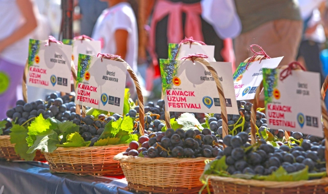 Kavacık Üzüm Festivali kapılarını 12. kez açıyor