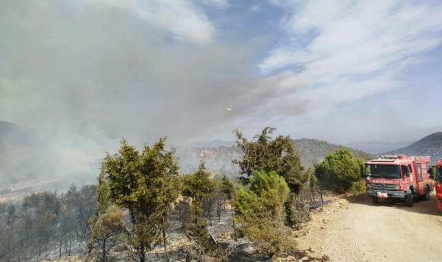 Foça'daki yangına İzBB müdahalesi! 