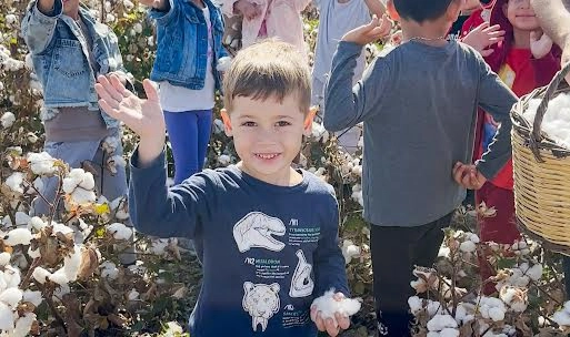 Menemenli minikler Pamuk hasadı yaptı