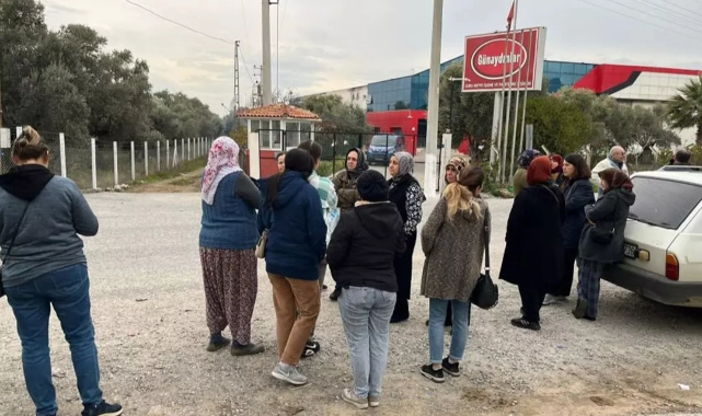 Alacaklılar, iflasını açıklayan firmanın kapısına dayandı: Bölgeye jandarma sevk edildi!
