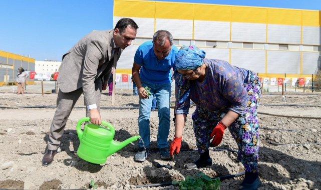 Bornova Tohum Takas Şenliği 15 Şubat’ta   