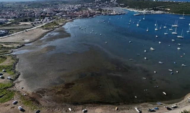 İzmir'de deniz çekildi: Uzmanlar açıkladı