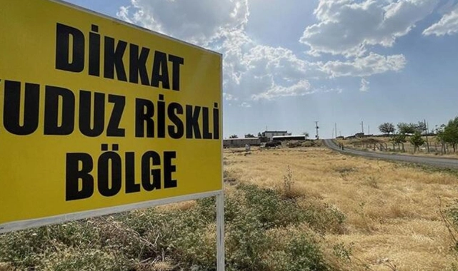 4 mahalle 'kuduz' tehditi sebebiyle karantinaya alındı!