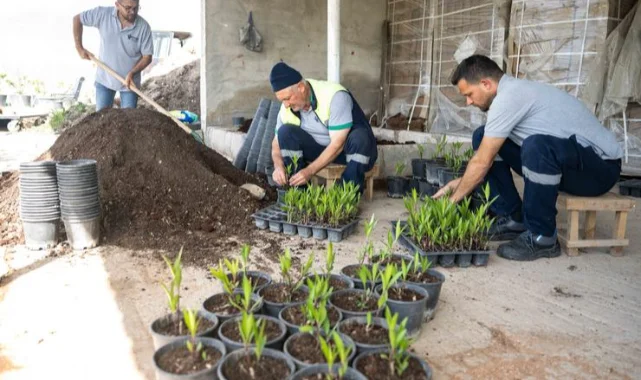 Bornova Pınarbaşı'nda sanki cennetten bir köşe