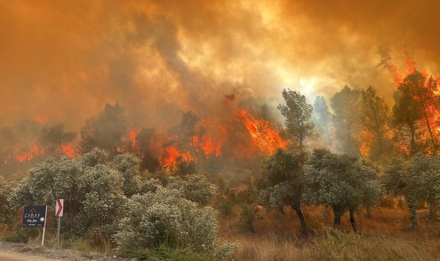 Bakan Yumaklı'dan yangınlarla ilgili açıklama: 17 kişi gözaltında!