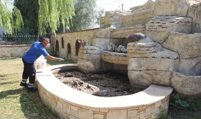 Efes Selçuk’ta Halk Sağlığı İçin Kapsamlı İlaçlama Seferberliği