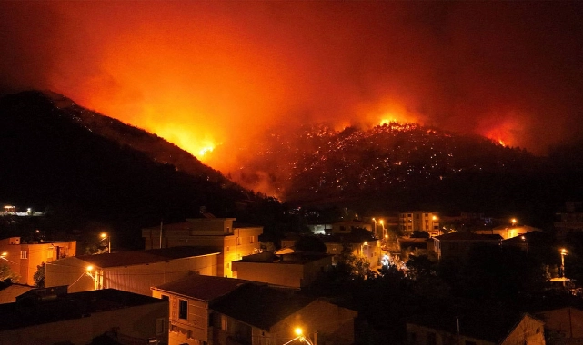 Bursa'da ormanı yakanlar ile Jandarma arasında kovalamaca!