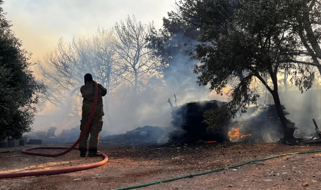 Çeşme’de yangınla mücadele sürüyor