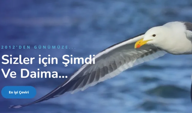 Transkript Çeviri Ücreti 2026: Öğrenci Belgeleri İçin İndirimli Fiyat Tarifesi