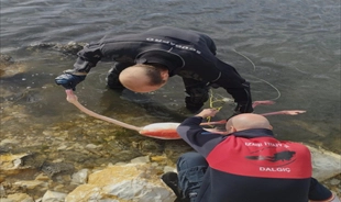 Flamingoya hayat veren kurtarma operasyonu