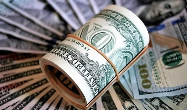 Merkez Bankası'ndan yıl sonu kur tahmini anketi