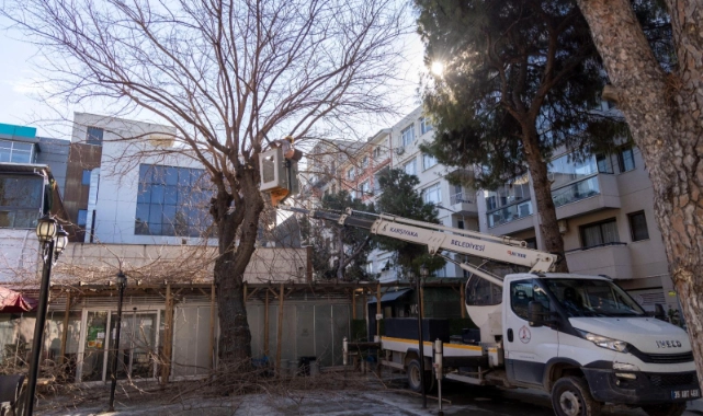 Karşıyaka’da ağaçlar bahara hazırlanıyor