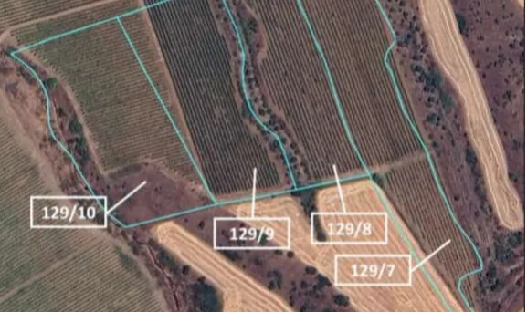 Tartışmalı Kemalpaşa planlarında İzBB’den 600 bin metrekare artış