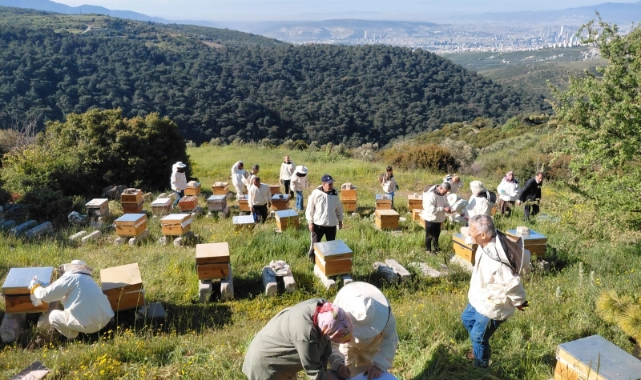 Arıcılığa güçlü destek: Bornova’da 10. kurs tamamlandı