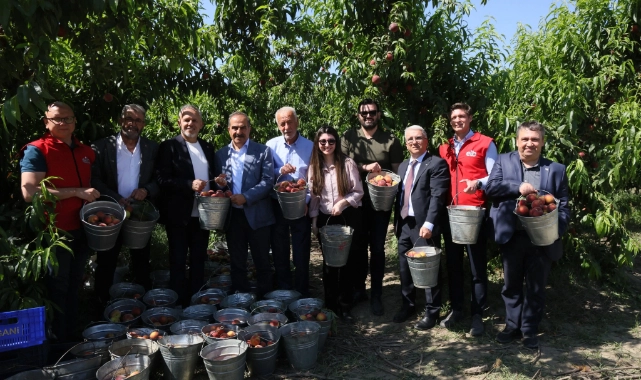 Şeftali ve nektarin ihracatında hedef 250 milyon dolar