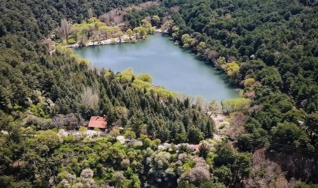 Karagöl Muhafaza Ormanı ‘dur’ dedi: Dev RES projesi iptal oldu