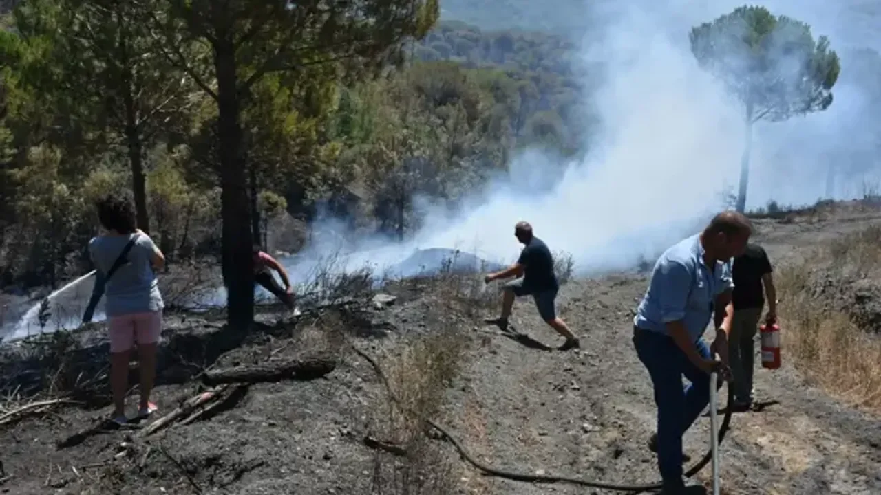 Kozak'ta başlayıp İzmir'e sıçramıştı: Son durum ne?