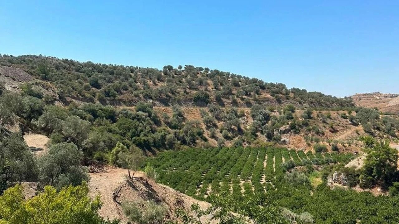 Seferihisar’da tarım arazisi ve çayır-mera alanına GES planı