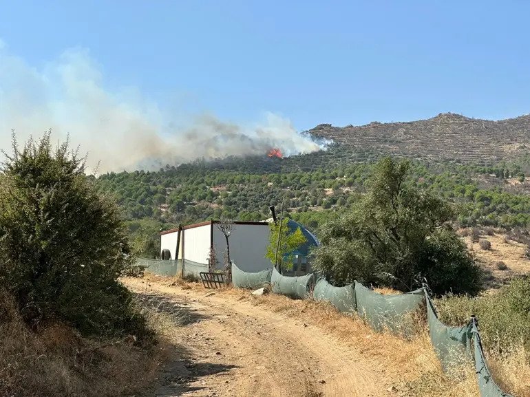 Ödemiş'te orman yangını: Ekipleri müdahale ediyor!