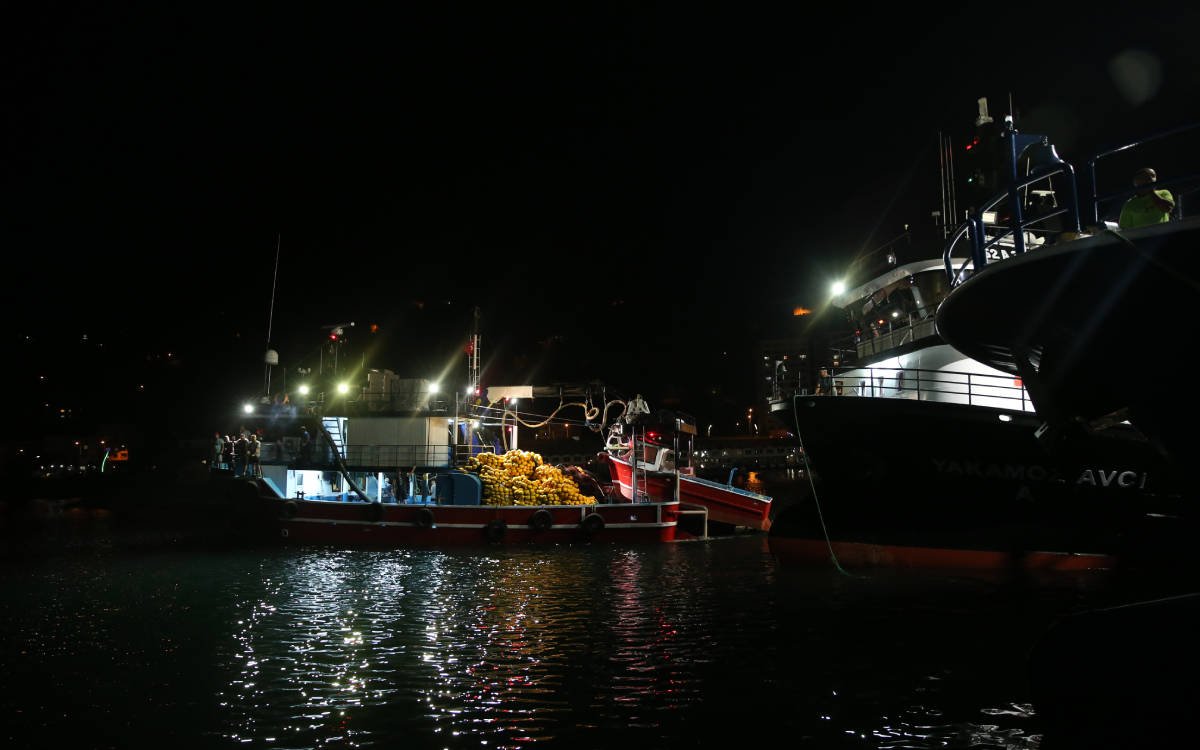 Av yasağı bitti, balıkçılar coşkuyla denize açıldı!