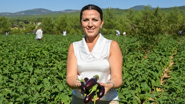 Bornova’nın bereketli topraklarında dayanışma hasadı